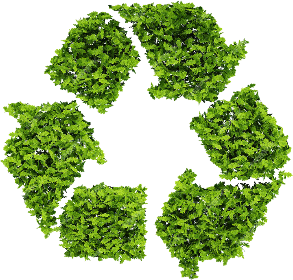 Leafy green recycling symbol on a white background.